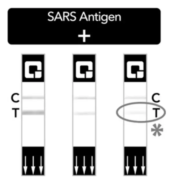 QUIDELQuickVue-SARS-Antigen-Test-Fig2