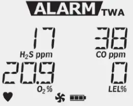 Honeywell -FS0502098-BW-Max-XT-II-Multi-Gas-Detector-14
