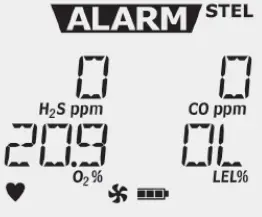 Honeywell -FS0502098-BW-Max-XT-II-Multi-Gas-Detector-16