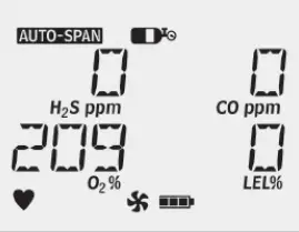 Honeywell -FS0502098-BW-Max-XT-II-Multi-Gas-Detector-7
