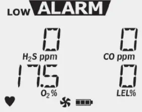 Honeywell -FS0502098-BW-Max-XT-II-Multi-Gas-Detector-9