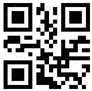 QR Code Icon