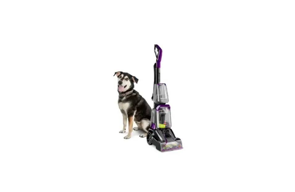 My Turboclean Dualpro Pet/powerforce Powerbrush Pet Xl Has No Power | Support My Turboclean Dualpro Pet/powerforce Powerbrush Pet Xl Has No Power | Support