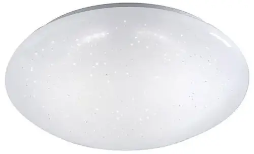 Paul-Neuhaus-14231-LED-Ceiling-Light-Instruction-Manual-PRODUCT