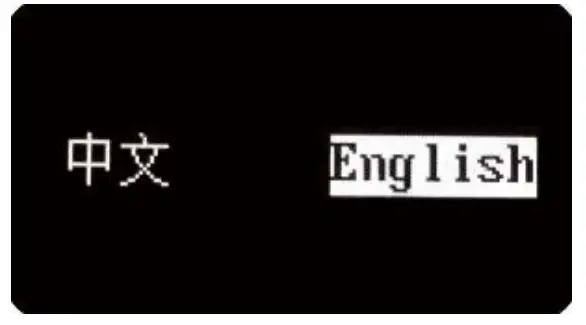 Linshang LS252DC Leeb Hardness Tester-fig1