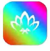 Yia Mia QXD SY52 RGBW Outdoor String Lights - APP download 2
