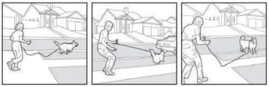 PATPET P COLLAR 530 Dog Training Collar MAIN IMAGE 13