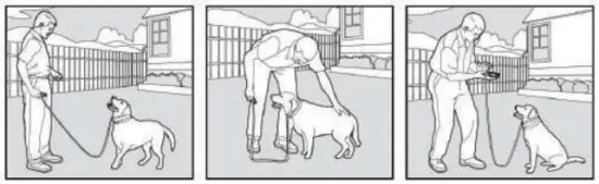 PATPET P COLLAR 530 Dog Training Collar MAIN IMAGE 8