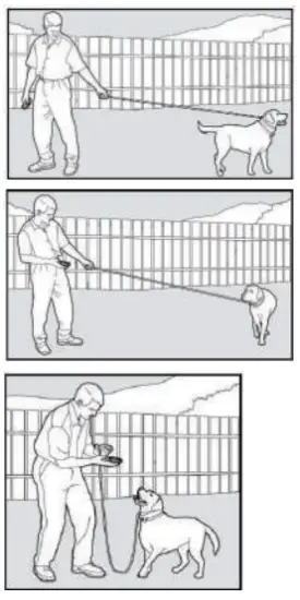 PATPET P COLLAR 530 Dog Training Collar MAIN IMAGE 9