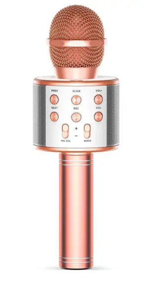 WS-858-Wireless-Karaoke-Microphone-product
