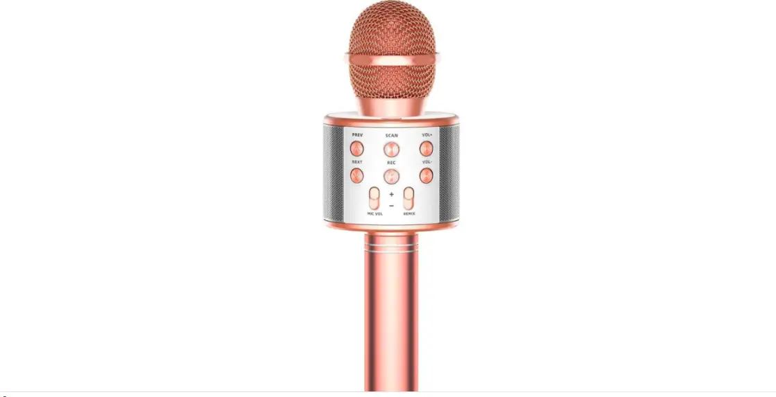 Ws-858 Wireless Karaoke Microphone User Manual