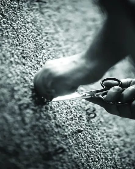 MERIDA P355457 Rug - Fig 1