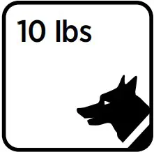 Main Features inductions