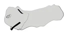 insportline-23349,-23348,-23347-Inflatable-Roller-Airroll-fig3