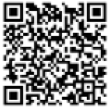 VIESSMANN-Vitodens-100-W-Gas-Boiler-39