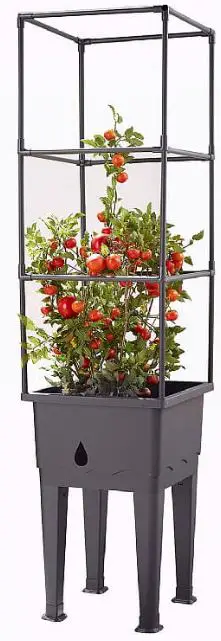 Coopers OF STORTFORD K276 Raised Tomato Planter with Cover