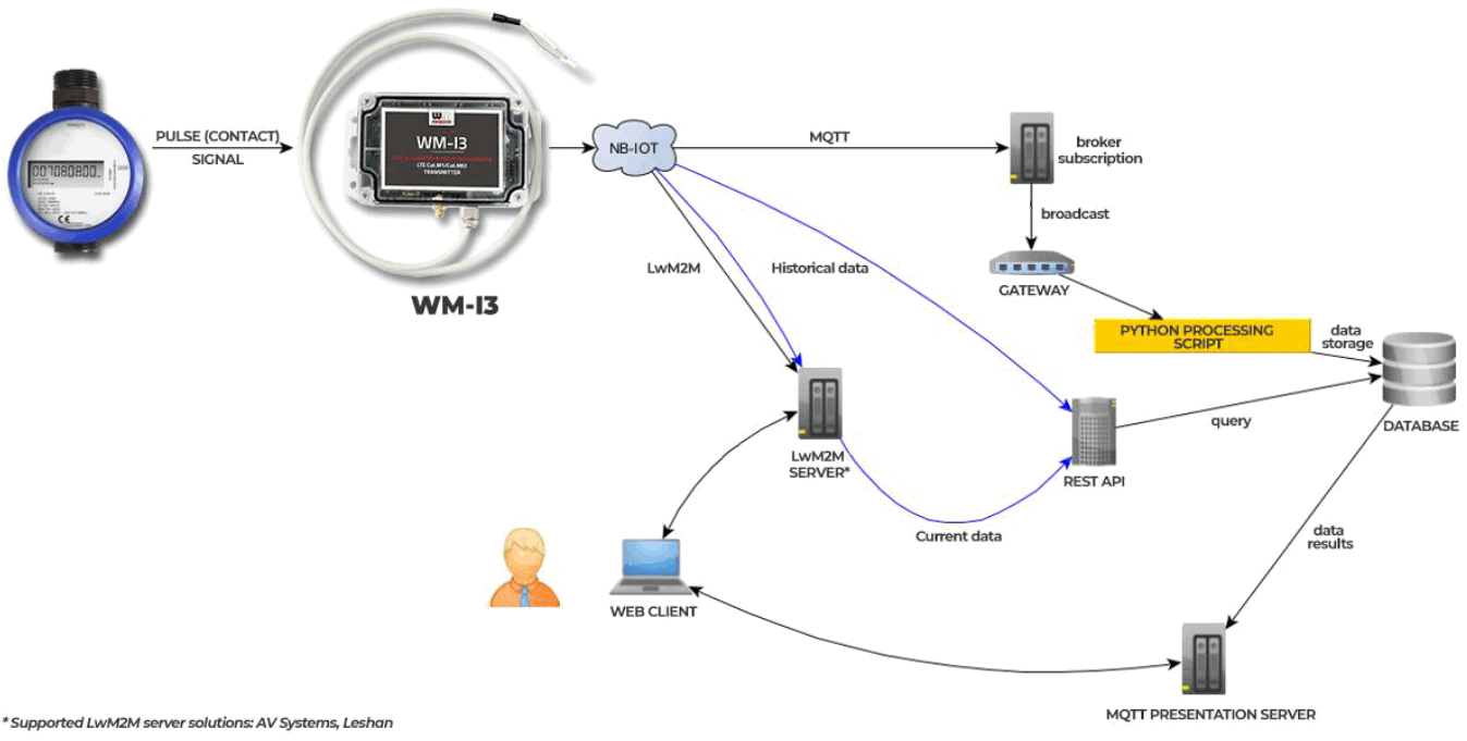 WM Systems WM I3 LLC Innovation in Smart IoT systems - Fig