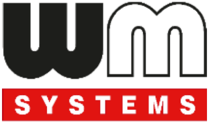 WM Systems - logo