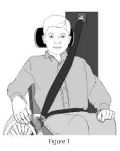 spex-Lateral-Trunk-Supports-fig-16