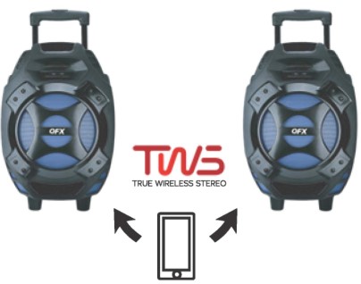 QFX Portable Bluetooth Speaker PBX-61081BT - TWS CONNECTION