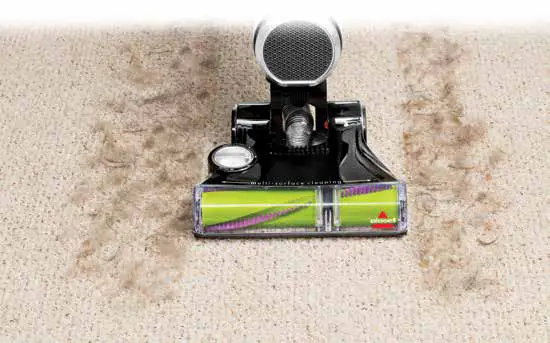 Bissell 1650 Series Pet Hair Eraser 3