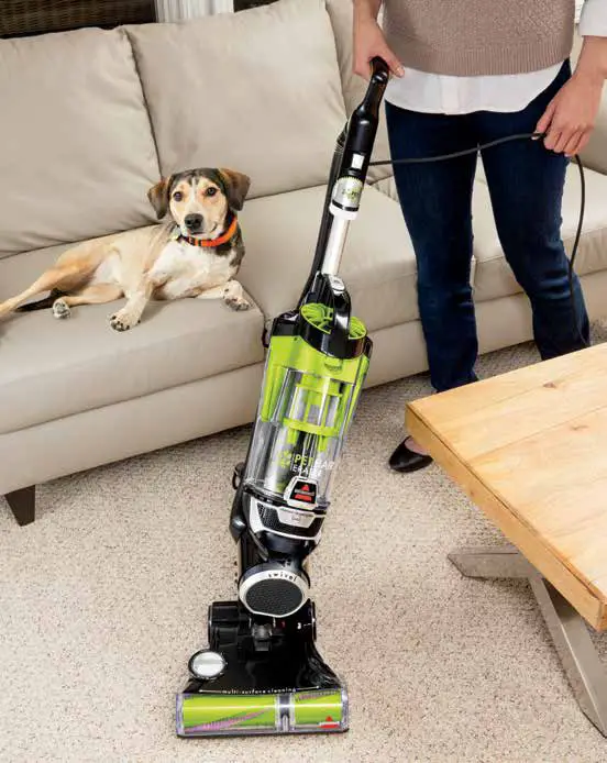 Bissell 1650 Series Pet Hair Eraser