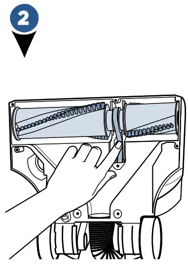 Replace the Brush & Belt 2