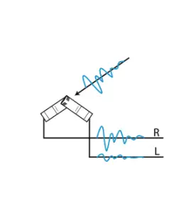 SENNHEISER MKH 8040 Compact Cardioid Condenser Microphone - Intensity stereo2