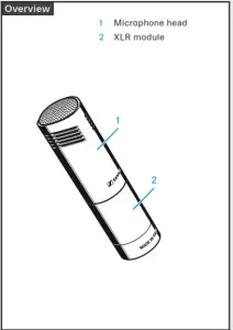 SENNHEISER MKH 8040 Compact Cardioid Condenser Microphone - Microphone head