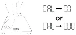 RENPHO ES-WBE28 Smart Weighing Scale- STEP 4