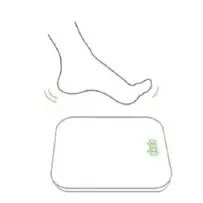 RENPHO ES-WBE28 Smart Weighing Scale- STEP 5-1