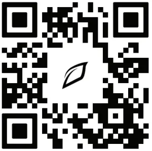 QR Code Icon