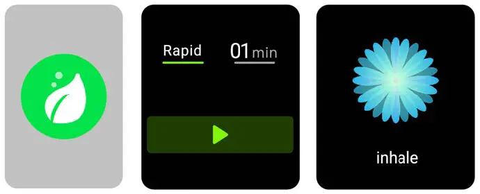 kogan KALXWTCBLKA Alexa Built in Smart Watch Fig15