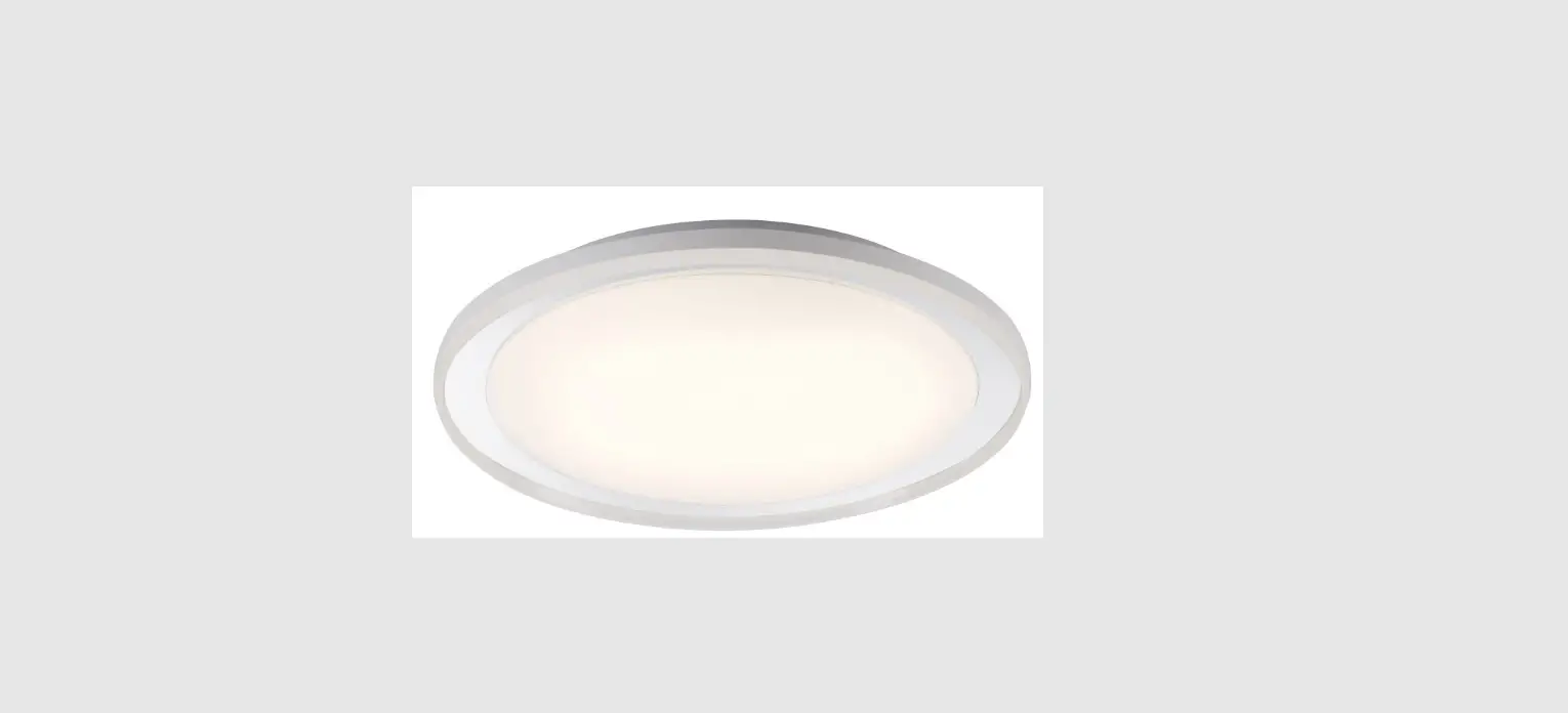 Paul Neuhaus 832342 Lars Led Ceiling Light Instruction Manual