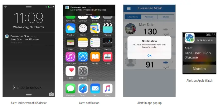 Apps eversense NOW App - fig 19