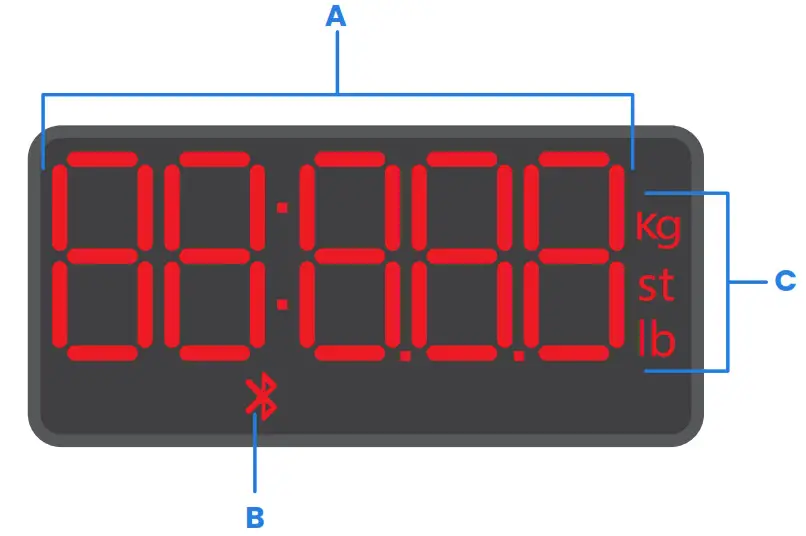 ETEKCITY ESF24 Smart Fitness - Display Diagram