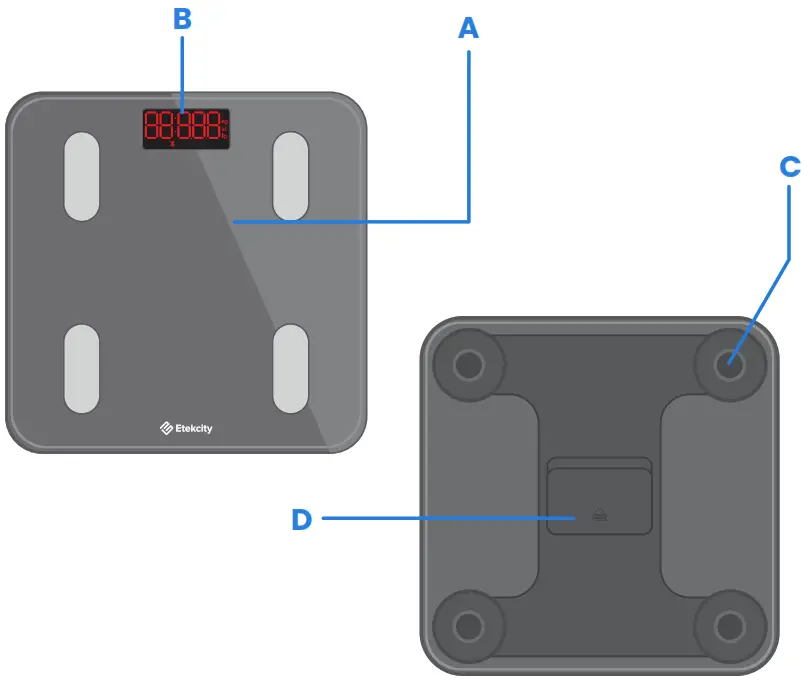 ETEKCITY ESF24 Smart Fitness Scale - Function Diagram
