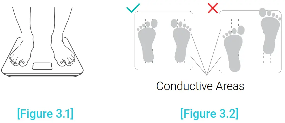 ETEKCITY -Conductive Areas