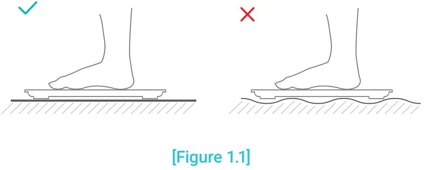 ETEKCITY ESF24 Smart Fitness Scale-Smart Scale