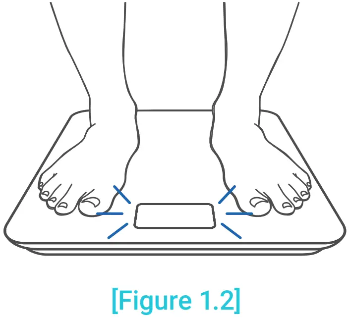 ETEKCITY -LOGO Smart Scale2
