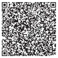 BRAYER BR4124 Handle Garment Steamer - Qr Code