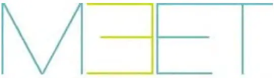 FERMAX F95391 Meet Guard Unit - logo2