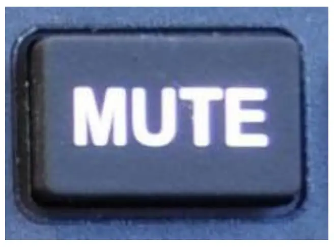 Music and Music Muting