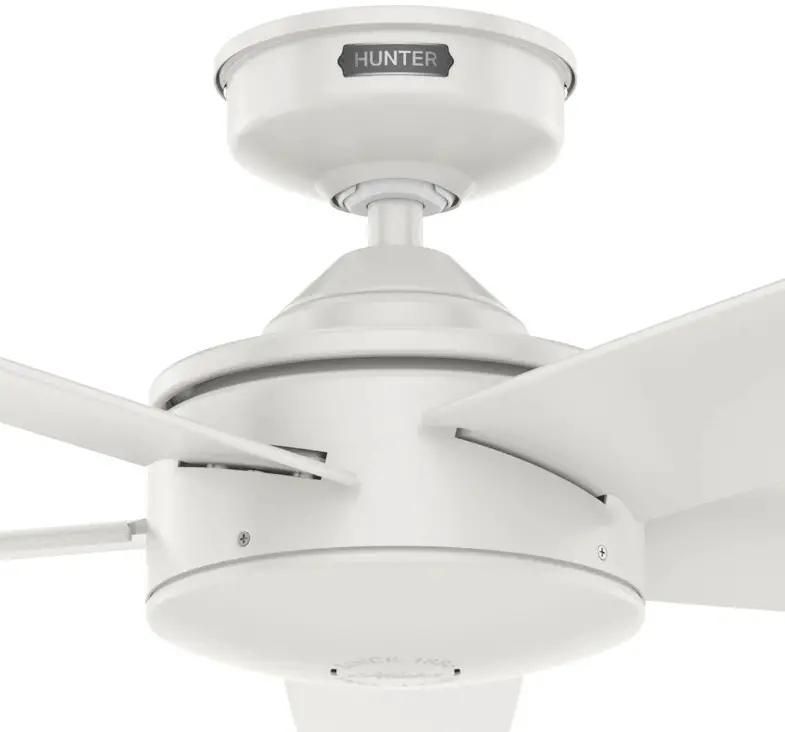 Hunter 51424 Tidal Ridge 52-Inch Outdoor Ceiling Fan