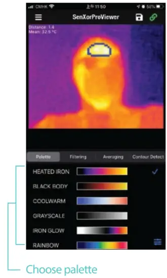 Choose Color Palette