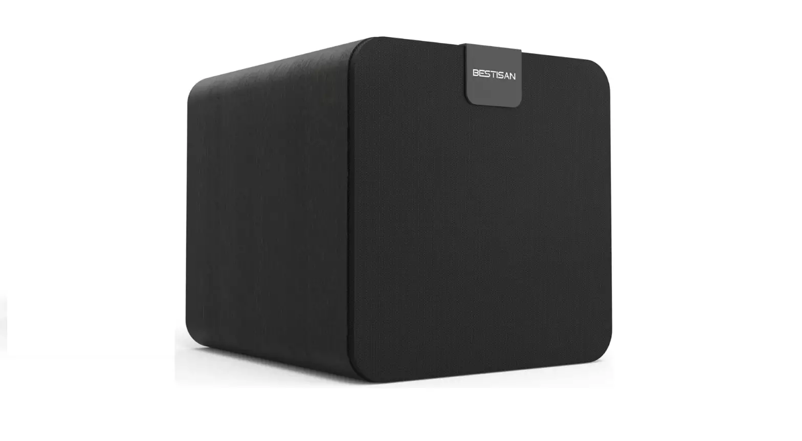 Bestisan 100-watt Powered Subwoofer - 8 Inch Speaker-complete Features/instruction Guid