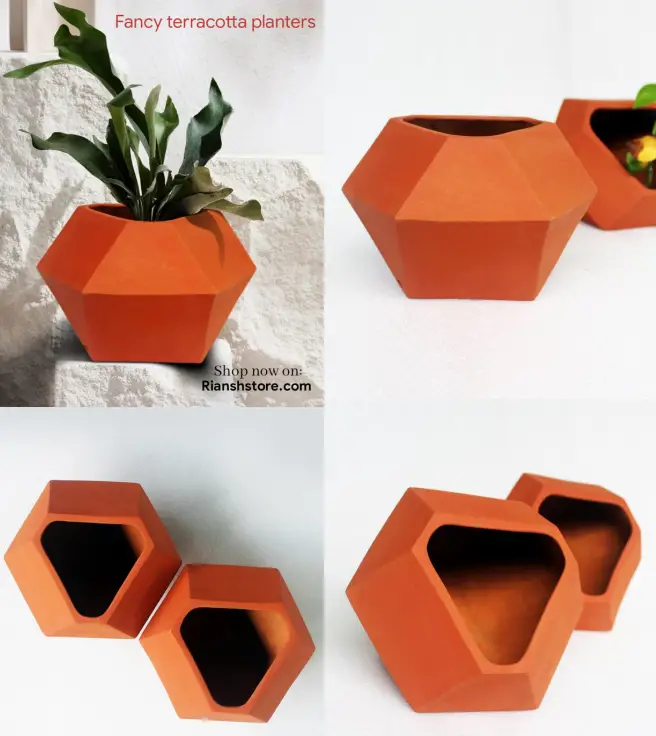 Fancy terracotta planters