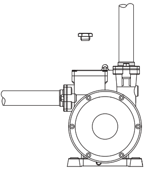 FLINT WALLING VP05 Booster Pump System - plug 1
