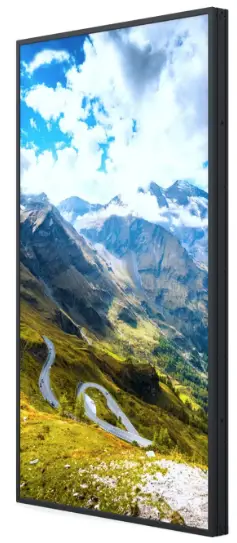 Hisense-55WF45H-55-Inch-Window-Facing-High-Brightness-Display-PRO