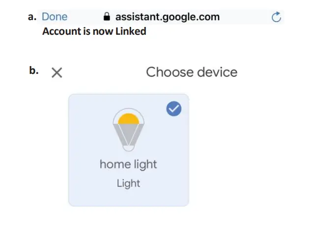 Google Home Settings